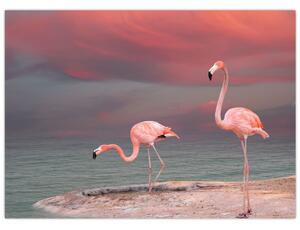Slika Flaminga (70x50 cm)