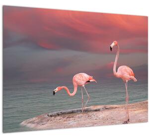 Staklena slika Flaminga (70x50 cm)