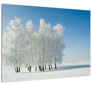 Staklena slika - Snježni krajolik (70x50 cm)