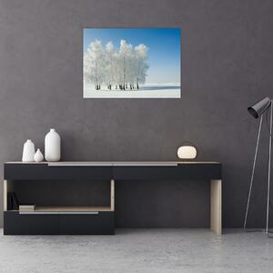 Slika - Snježni krajolik (70x50 cm)