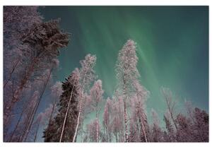 Slika polarne svjetlosti nad zaleđenim drvećem (90x60 cm)