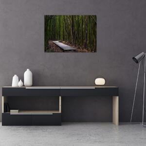 Slika - Između bambusa (70x50 cm)