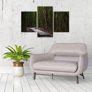 Slika - Između bambusa (90x60 cm)