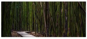 Slika - Između bambusa (120x50 cm)