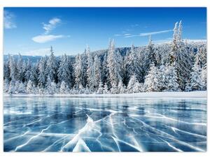 Slika zaleđenog jezera i sniježnih stabala (70x50 cm)