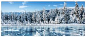 Slika zaleđenog jezera i sniježnih stabala (120x50 cm)