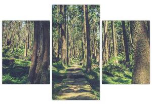 Slika staze između drveća (90x60 cm)
