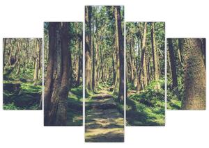 Slika staze između drveća (150x105 cm)