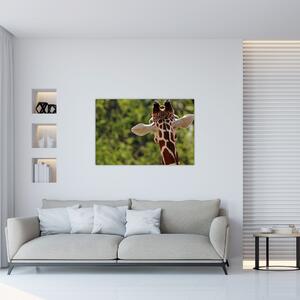 Slika žirafe s leđa (90x60 cm)