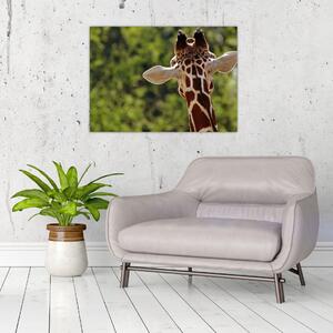 Slika žirafe s leđa (70x50 cm)