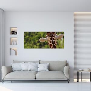 Slika žirafe s leđa (120x50 cm)