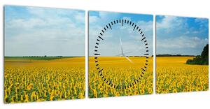 Slika - polje suncokreta (sa satom) (90x30 cm)