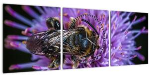 Slika pčele na cvijetu (sa satom) (90x30 cm)