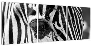 Slika zebre (sa satom) (90x30 cm)