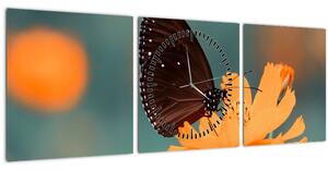 Slika - leptir na narančastom cvijetu (sa satom) (90x30 cm)