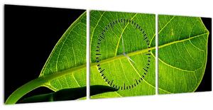Slika - zeleni list (sa satom) (90x30 cm)