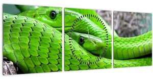 Slika zelenih zmija (sa satom) (90x30 cm)