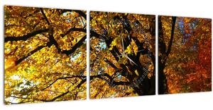 Slika jeseni (sa satom) (90x30 cm)