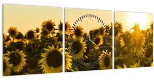 Slika polja suncokreta (sa satom) (90x30 cm)