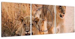 Slika mladunaca lavova (sa satom) (90x30 cm)