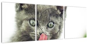 Slika mačića koji se liže (sa satom) (90x30 cm)