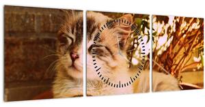 Slika mačke u loncu (sa satom) (90x30 cm)
