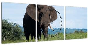 Slika slona (sa satom) (90x30 cm)