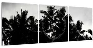 Crno-bijela slika - palme (sa satom) (90x30 cm)