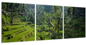 Slika rižinih terasa Tegalalang, Bali (sa satom) (90x30 cm)