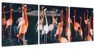 Slika jata flaminga (sa satom) (90x30 cm)