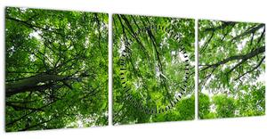Slika - Pogled u krošnje drveća (sa satom) (90x30 cm)