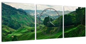 Slika - Plantaže čaja u Maleziji (sa satom) (90x30 cm)
