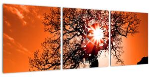 Slika - Stablo hrasta pri zalasku sunca (sa satom) (90x30 cm)
