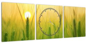 Slika polja sa žitom (sa satom) (90x30 cm)
