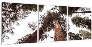 Slika - Pogled kroz krošnje stabala (sa satom) (90x30 cm)