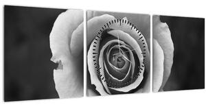Slika ruže (sa satom) (90x30 cm)