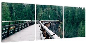Slika - Most do vrhova drveća (sa satom) (90x30 cm)