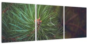 Slika - Detalj stabla bora (sa satom) (90x30 cm)