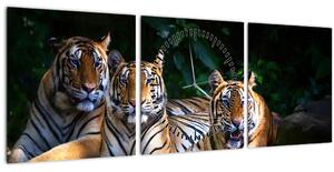 Slika - Tiger bratje (sa satom) (90x30 cm)