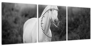 Slika belega konja na travniku, črno-bela (sa satom) (90x30 cm)