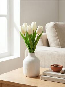 Sinsay - Ukrasna biljka – tulipani