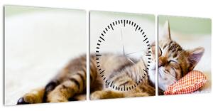 Slika - Speči maček (sa satom) (90x30 cm)