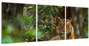 Slika počivajočega tigra (sa satom) (90x30 cm)