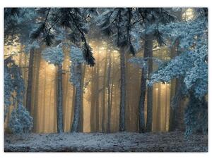 Slika snježne šume (70x50 cm)