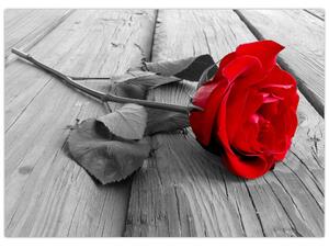 Slika crvene ruže (70x50 cm)