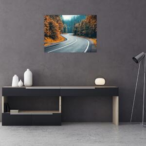 Slika - Vijugava cesta (70x50 cm)