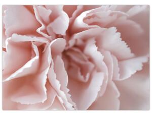 Slika - Detalj cvijeta (70x50 cm)