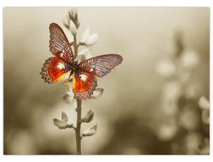 Staklena slika leptira (70x50 cm)