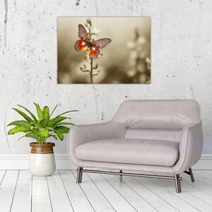 Staklena slika leptira (70x50 cm)