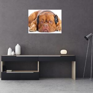 Slika psa sa slušalicama (70x50 cm)